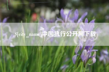 迁西中国执行公开网下载