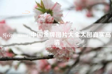 迁西中国金牌图片大全大图真实高清