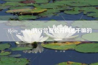迁西执行信息公开网是干嘛的