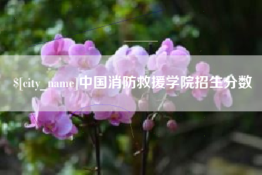 迁西中国消防救援学院招生分数