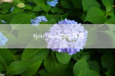 迁西2022九宫