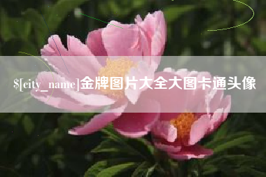 迁西金牌图片大全大图卡通头像