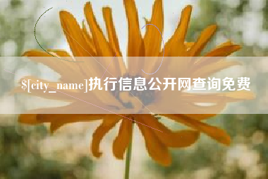 迁西执行信息公开网查询免费