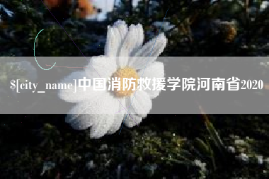 迁西中国消防救援学院河南省2020
